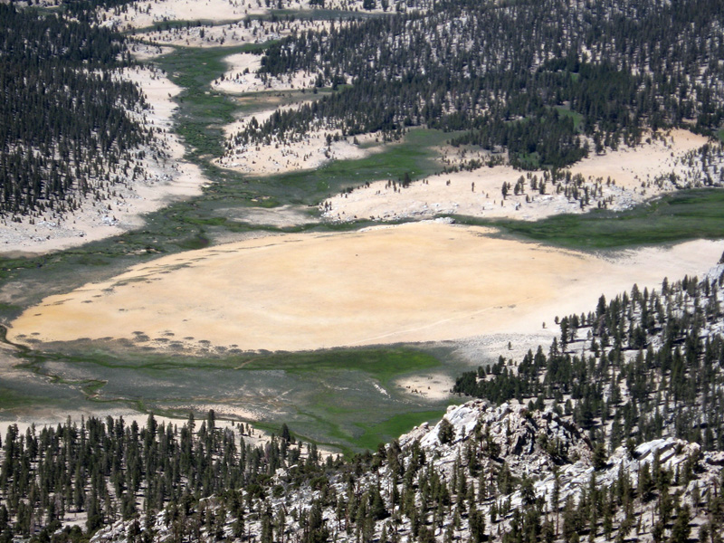 mulkey meadow